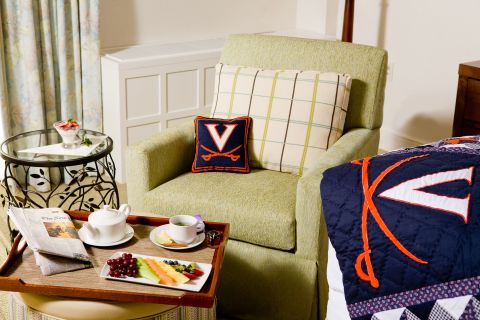 UVA Pillow and Trow