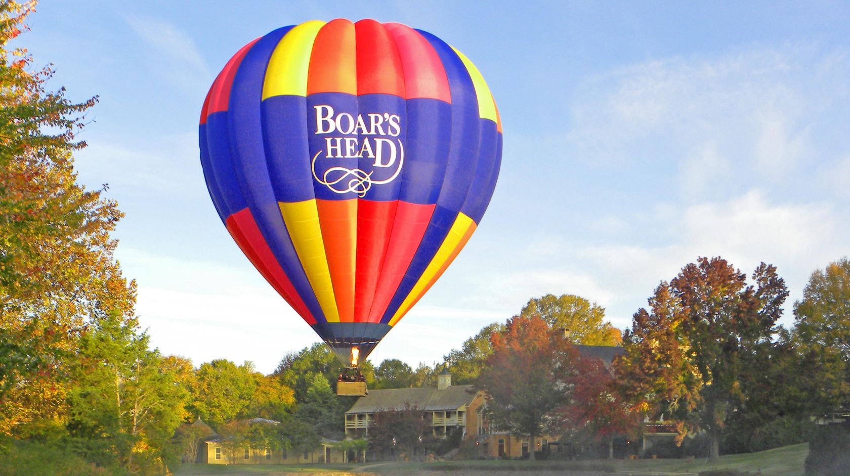 Boar's Head Balloon