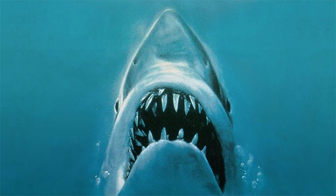 Movies at The Pool: Jaws