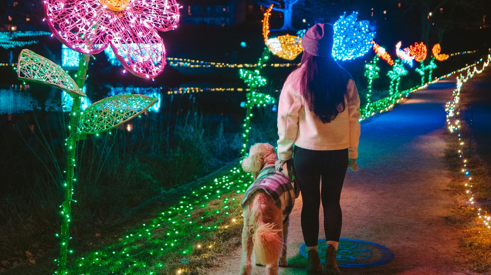 A Person And A Dog On A Path By A Pond With Christmas Lights